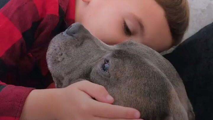 A 7-year-old boy’s letter to his dog is overflowing with love—so cute it’ll make you cry!