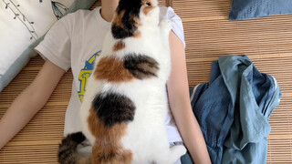 Suffocating love