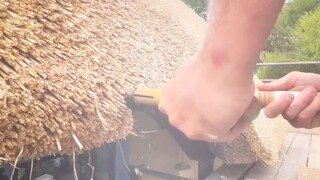 ASMR原声纯享：英国老哥修葺厚厚的茅草屋顶