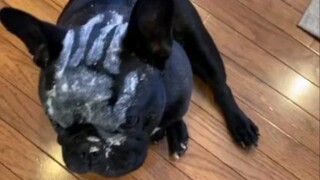 White-robed Wizard Saruman and Orcs