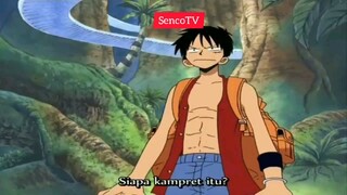 Alasan Lagu Luffy Tidak Jadi