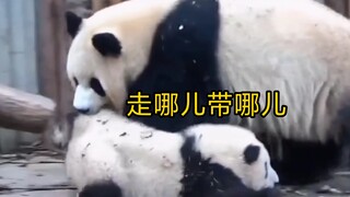 Although Huahua left her mother when she was young, she met her godmother Yuanrun who loved her the 