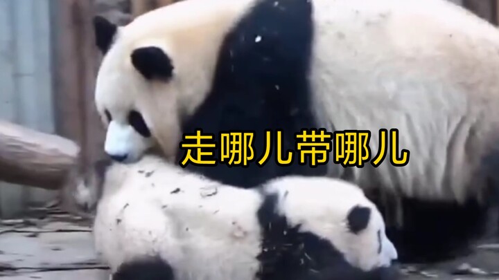 花花虽然从小离开母亲却遇到了最疼她的园润干妈