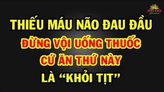 Ai THIẾU MÁU NÃO ăn ngay 4 loại THẦN DƯỢC này khỏi tịt ĐAU ĐẦU - MẤT NGỦ khỏi tốn tiền thuốc