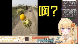 日本大憨憨看《喂骆驼吃柠檬》发出难绷的笑声