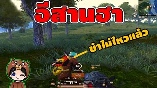 ขำไม่ไหวแล้ว ตี้อีสานจะเอาฮาไปไหน? - PUBG Mobile