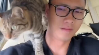 แมวพิชิตมนุษย์