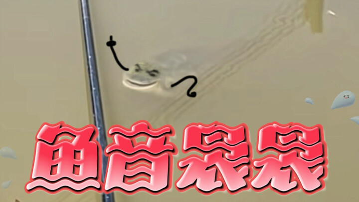 The fisherman was teased by a grass carp in the wild!