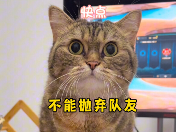 This really is the last time I’m playing this game!