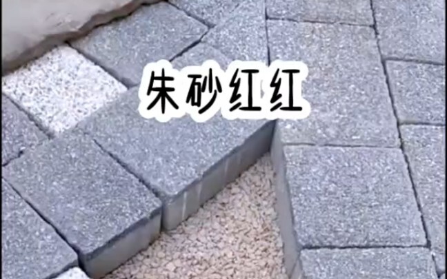 [Princess, Listen Up!] The creator’s exploring—welcome to the channel! Hit Like, Share, and Subscrib