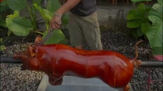 Babi kualitas premium