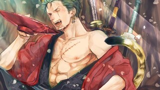 [Read comments] I found out how many clothes Zoro has worn, it's me!