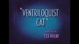 Kucing pengendali suara || Ventriloquist Cat