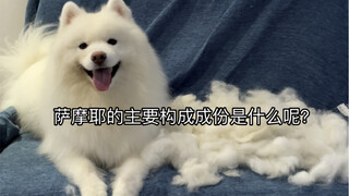 萨摩耶主要是由什么组成的？