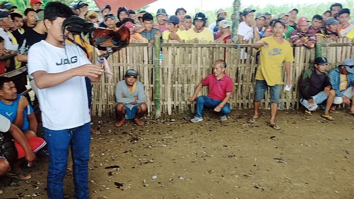 wala pa talagang tsamba