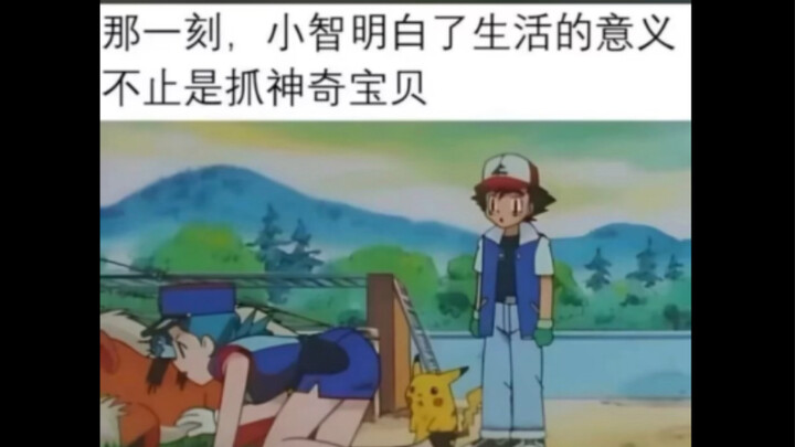 Silly meme images | Is there anything more meaningful than catching Pokémon?