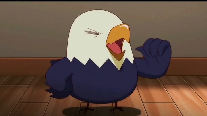 [Những điều về con thỏ năm đó] Thật thú vị khi thấy cuộc đấu đá nội bộ giữa các Eagle-chans