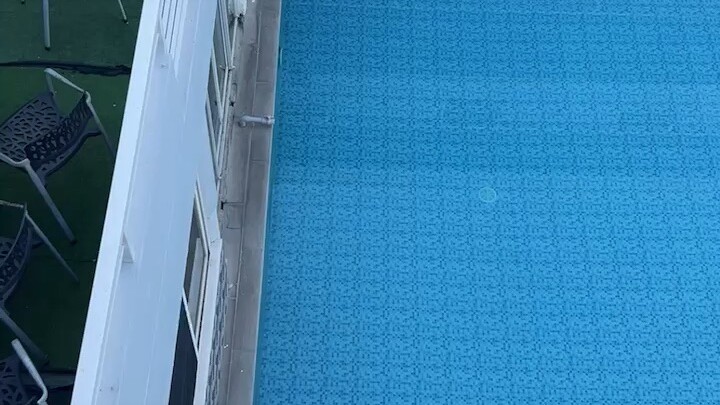 把汗水变成收获，把努力变成实力。新的一天，愿你坚定前行，遇见更棒的自己。早上好！