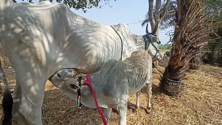 Mom Always Mom 😍