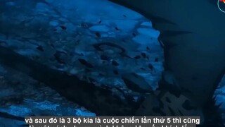 Phân Tích Seri Phim Anime Fate_ Cách Xem Và Theo Dõi Nội Dung Chính Xác Nhất p12