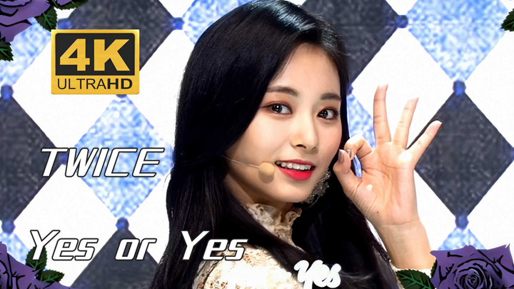[4K with Chinese Subtitles] TWICE - YES or YES: A Daily Dose of Energetic Bunny to Banish Bad Moods 