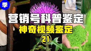 【鉴定热门】吃完菠萝连水都不能喝？绿色邪能大米是东北特产？