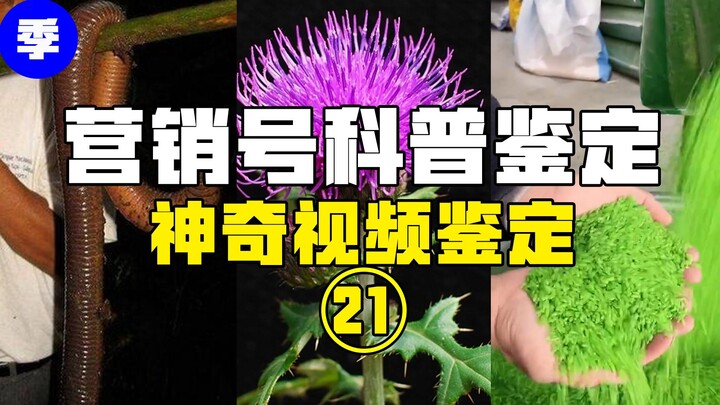 【鉴定热门】吃完菠萝连水都不能喝？绿色邪能大米是东北特产？