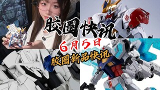 【6月5日胶圈快讯】