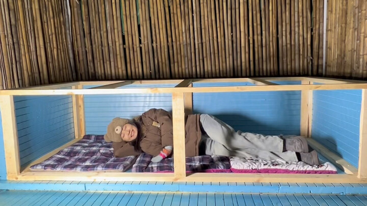 Mùa đông sắp đến, những chú mèo hoang sẽ bị đuổi đi.