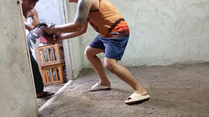 exercise🐓