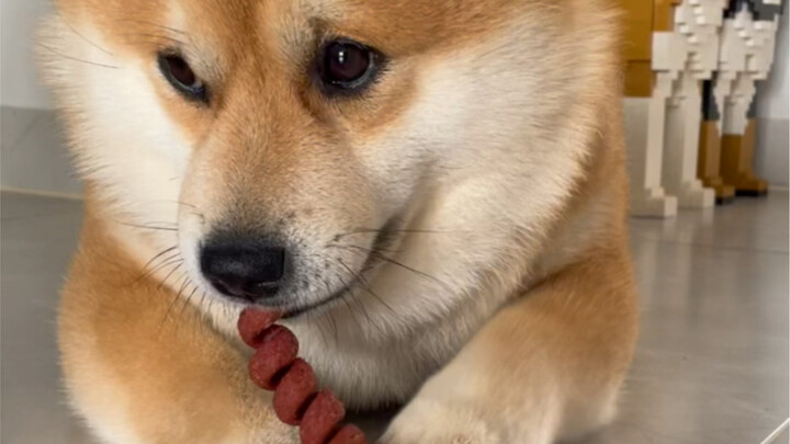 Lately I’ve been really into this little snack—it’s chewy and stretchy, just like grilled gluten!