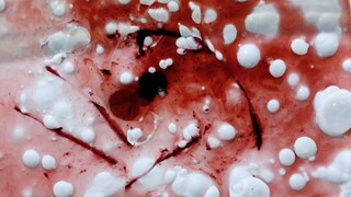 This steps of making water bomb are overly bloody...