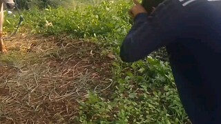 pengangguran