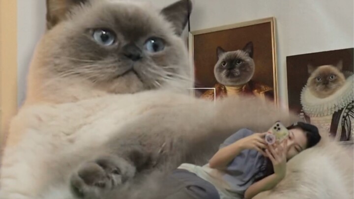 As everyone knows, videos can't be photoshopped, so this is just how big my cat is!