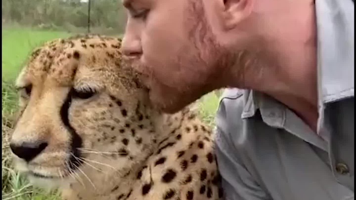 Wearing leopard print, I just want to stay close to you.