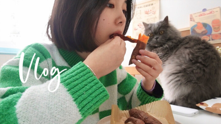 Vlog | Happy Solo Living with a Cat: New Home Tour, First Hair-Blonding Experience, Simple One-Perso