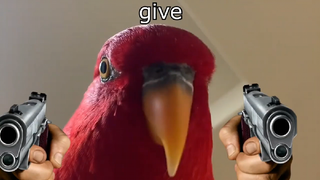 sauce birb