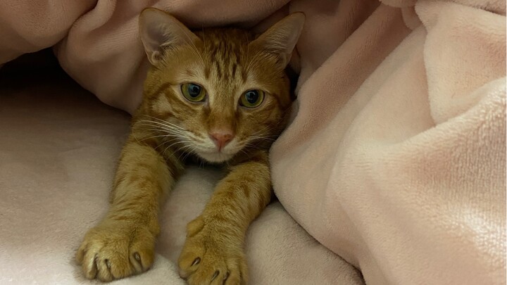 Looks like they don’t even realize how long they’ve been asleep～