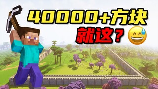 为了修这一面墙，我挖了40000多个方块！【我的世界#01】