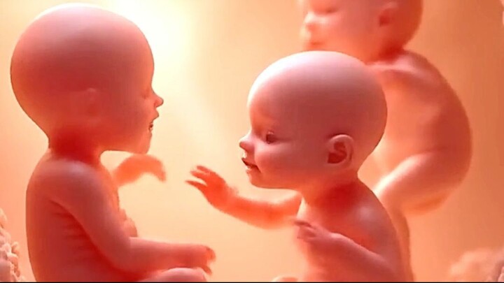 triplet babies moving inside the womb #baby #twinsbaby #triplets #pregnant #anim