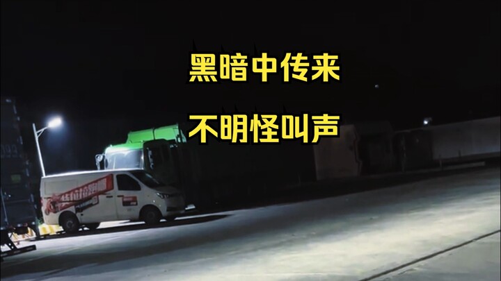 23日凌晨 湖北夷陵区远处传来不明吼叫声