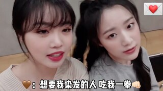 【يي شو هوا】 كُرة الحليب كبرت وصبغت شعرها باللون الذهبي