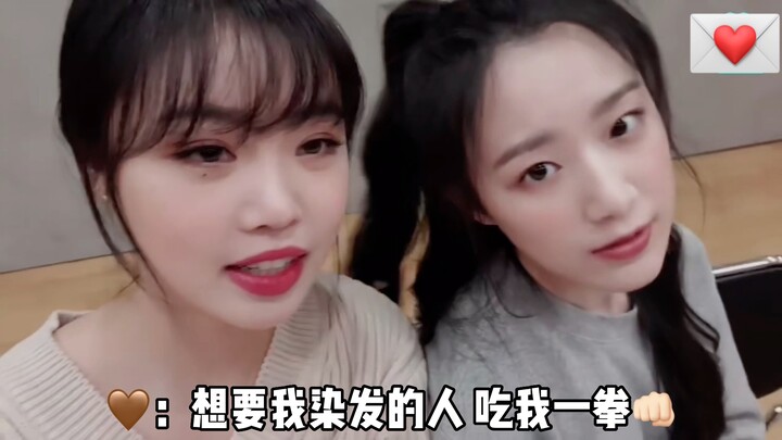 【Diệp Thư Hoa】Búp bê sữa lớn rồi, nhuộm tóc vàng rồi