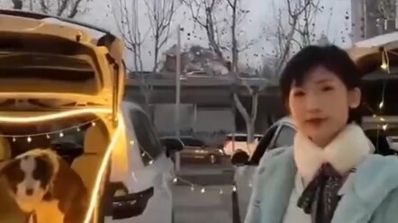 Girl gets bitten while trying to take a close-up photo of a strange Border Collie on her first meet.