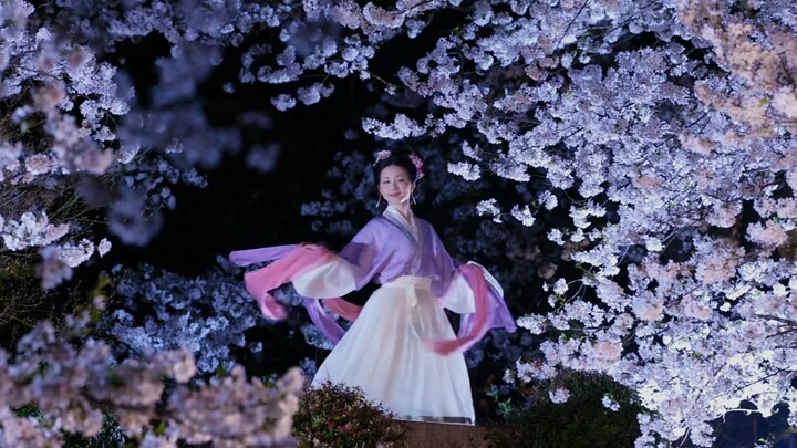 Đẹp phát ngất luôn! Màn hoa anh đào về đêm tuyệt mỹ này!