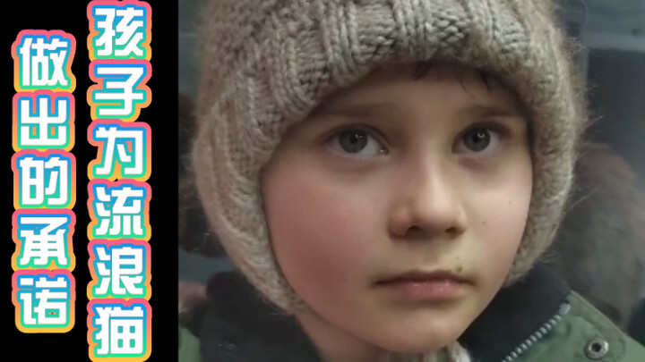 A Child’s Promise to a Stray Cat