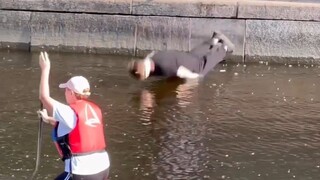 你这个优雅操作是要把我整神！