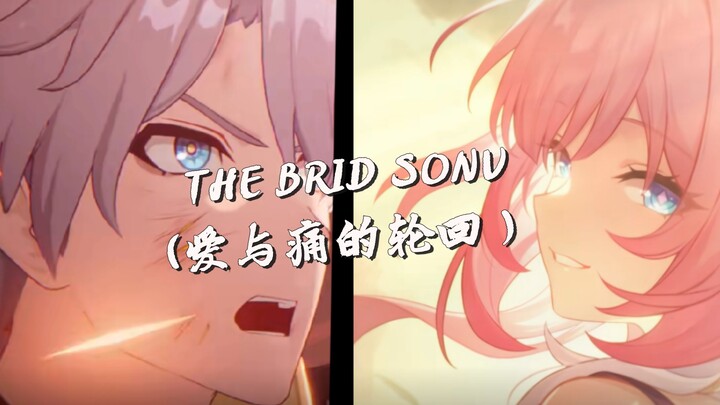 ［箭与鸟的宿命］（星穹铁道/MAD）