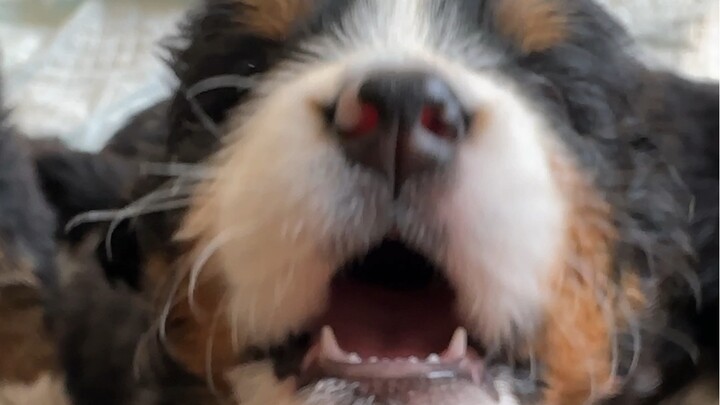 Không ôm tôi thì thôi, hừ!