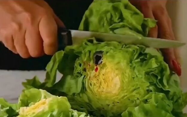 Snails Can Be This Terrifying Too!